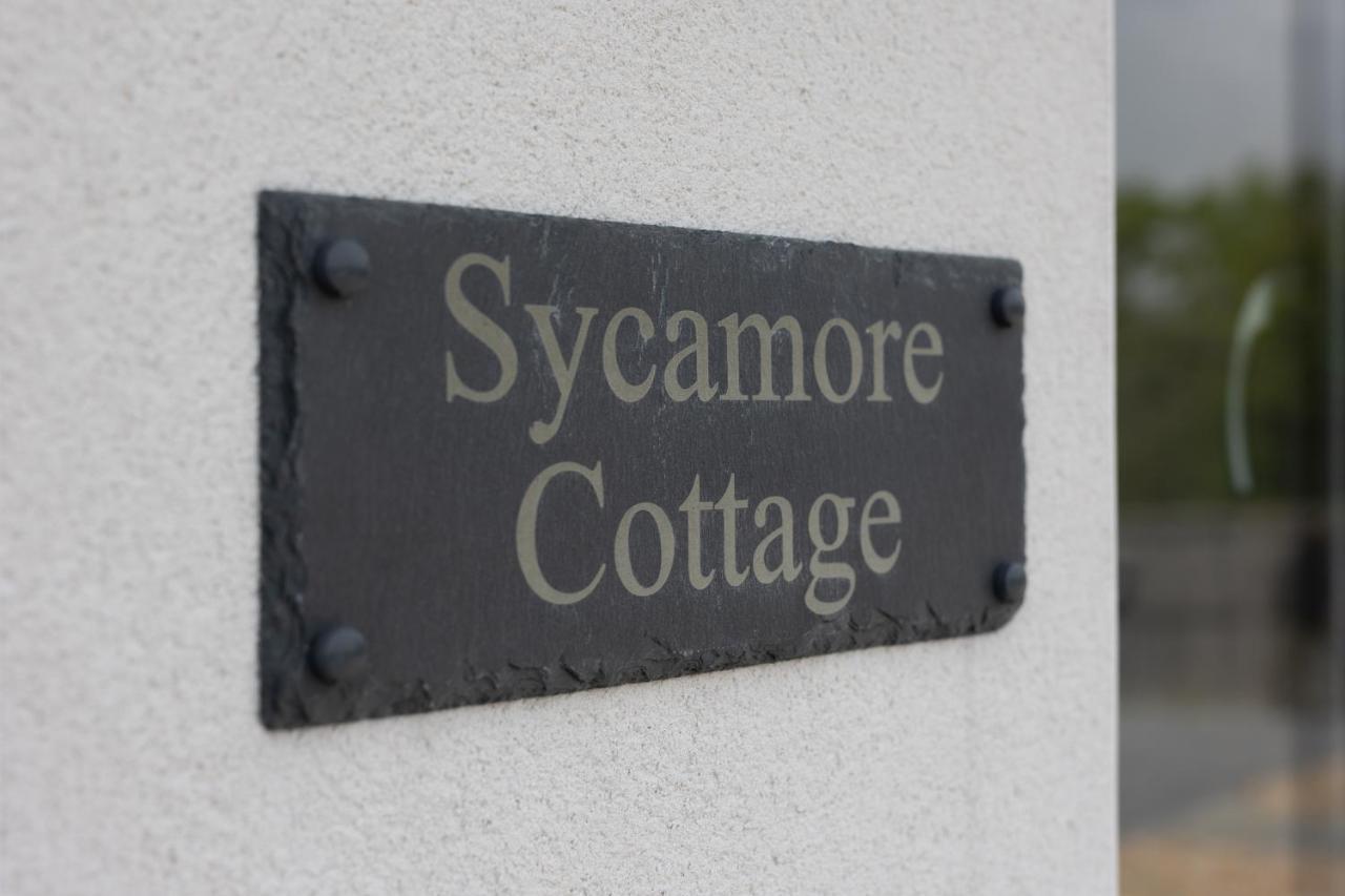 Sycamore Cottage Tenby Ngoại thất bức ảnh